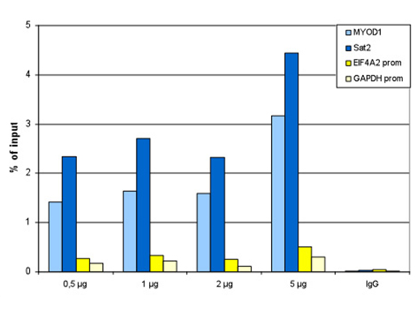 ChIP results with Anti-Histone H2B pan